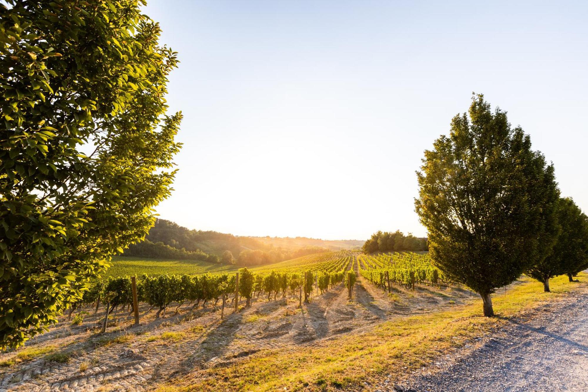 Tenuta La Meirana Gavi Villa Eksteriør billede