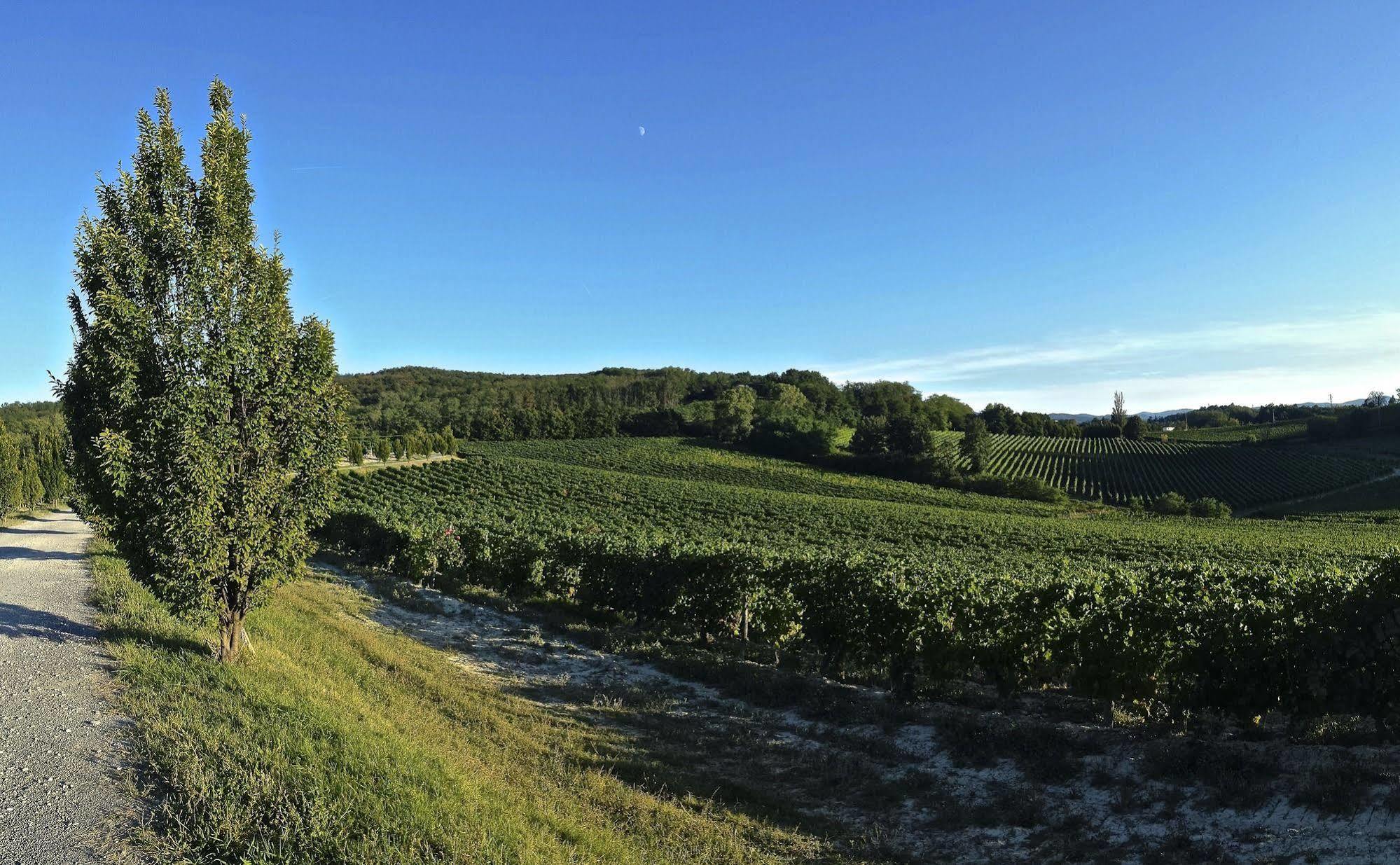 Tenuta La Meirana Gavi Villa Eksteriør billede